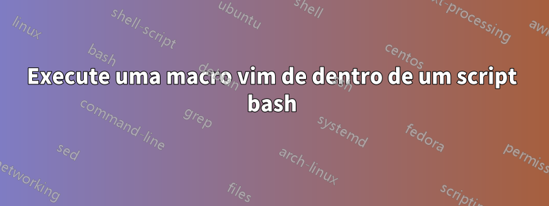 Execute uma macro vim de dentro de um script bash