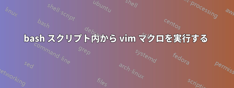 bash スクリプト内から vim マクロを実行する