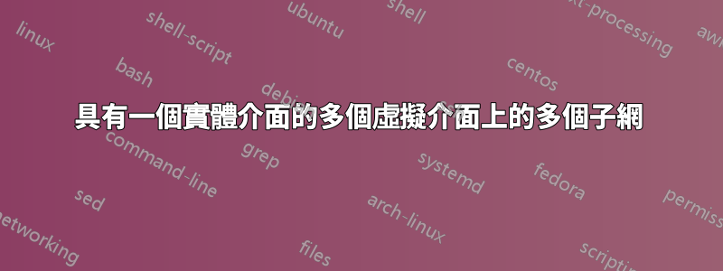 具有一個實體介面的多個虛擬介面上的多個子網