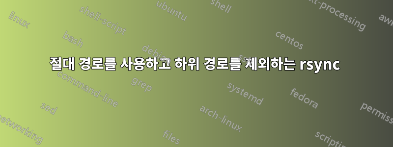 절대 경로를 사용하고 하위 경로를 제외하는 rsync