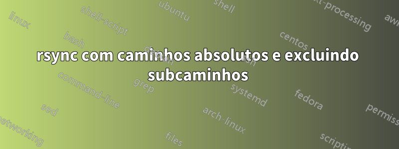 rsync com caminhos absolutos e excluindo subcaminhos