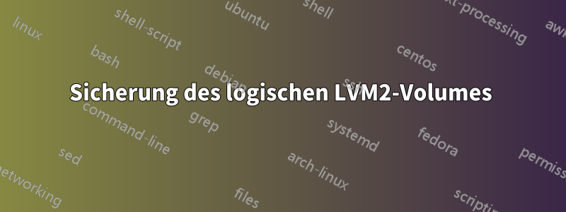 Sicherung des logischen LVM2-Volumes