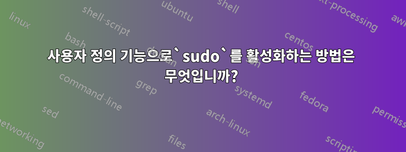 사용자 정의 기능으로`sudo`를 활성화하는 방법은 무엇입니까?