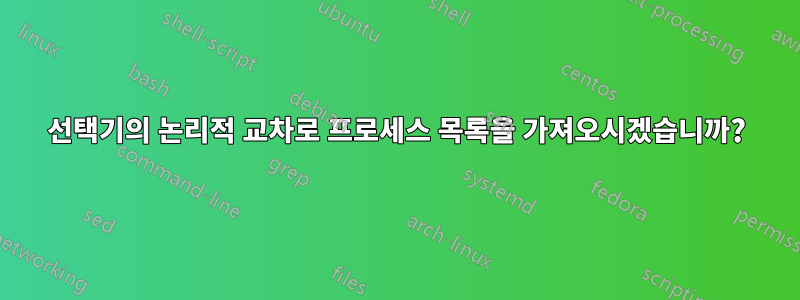 선택기의 논리적 교차로 프로세스 목록을 가져오시겠습니까?