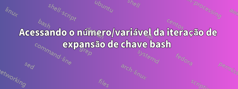 Acessando o número/variável da iteração de expansão de chave bash 