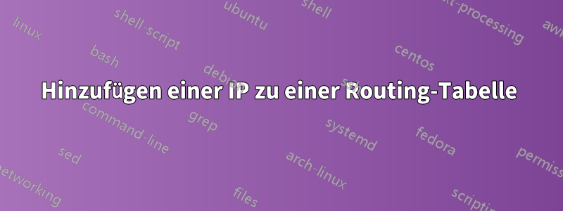 Hinzufügen einer IP zu einer Routing-Tabelle