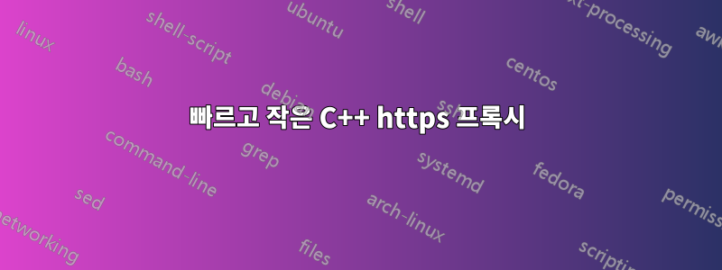 빠르고 작은 C++ https 프록시