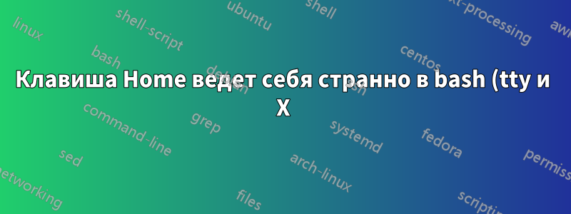 Клавиша Home ведет себя странно в bash (tty и X) при длинных входных строках
