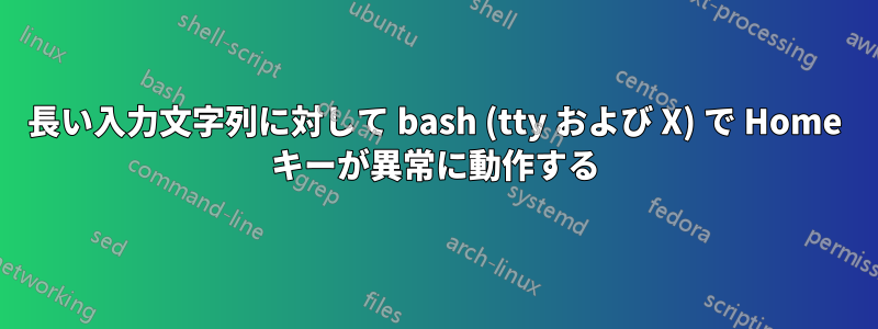 長い入力文字列に対して bash (tty および X) で Home キーが異常に動作する