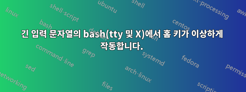 긴 입력 문자열의 bash(tty 및 X)에서 홈 키가 이상하게 작동합니다.