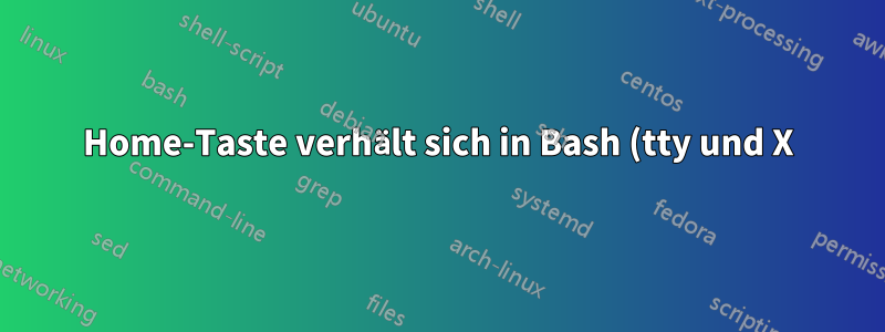 Home-Taste verhält sich in Bash (tty und X) bei langen Eingabezeichenfolgen seltsam
