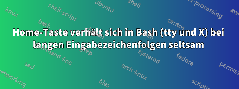 Home-Taste verhält sich in Bash (tty und X) bei langen Eingabezeichenfolgen seltsam