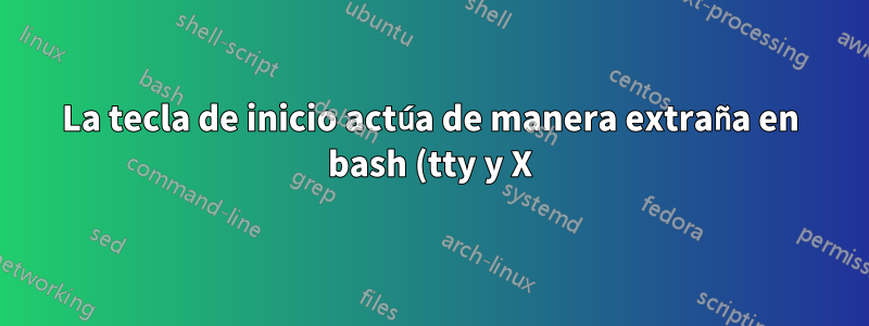 La tecla de inicio actúa de manera extraña en bash (tty y X) en cadenas de entrada largas