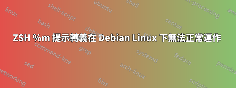 ZSH %m 提示轉義在 Debian Linux 下無法正常運作