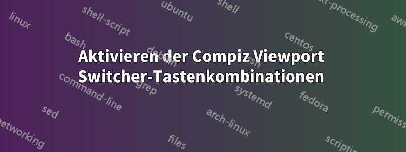 Aktivieren der Compiz Viewport Switcher-Tastenkombinationen