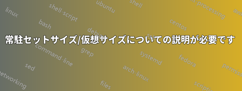 常駐セットサイズ/仮想サイズについての説明が必要です