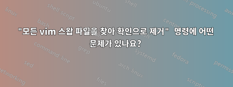 "모든 vim 스왑 파일을 찾아 확인으로 제거" 명령에 어떤 문제가 있나요?