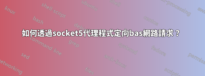 如何透過socket5代理程式定向bas​​網路請求？