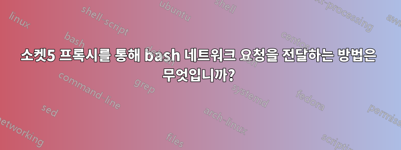 소켓5 프록시를 통해 bash 네트워크 요청을 전달하는 방법은 무엇입니까?