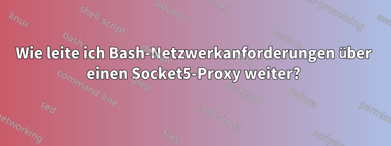 Wie leite ich Bash-Netzwerkanforderungen über einen Socket5-Proxy weiter?