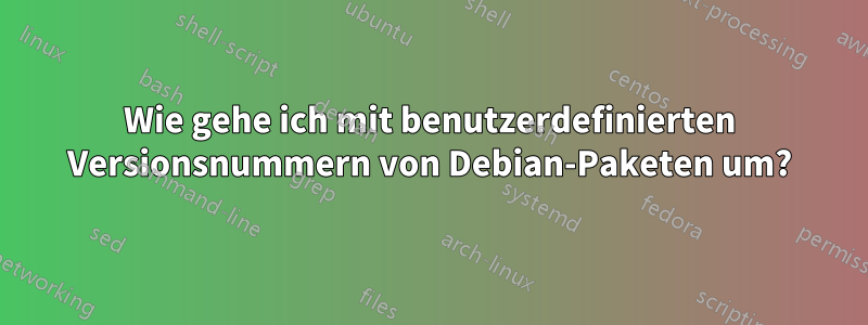 Wie gehe ich mit benutzerdefinierten Versionsnummern von Debian-Paketen um?