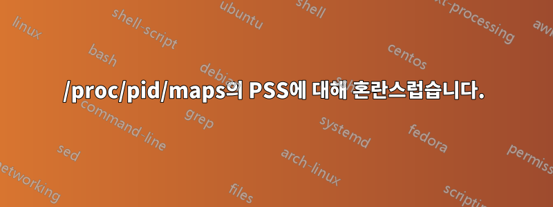 /proc/pid/maps의 PSS에 대해 혼란스럽습니다.