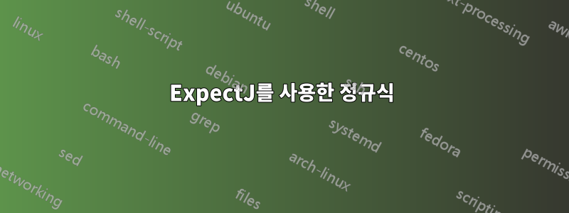 ExpectJ를 사용한 정규식