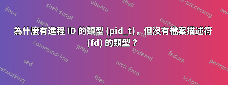 為什麼有進程 ID 的類型 (pid_t)，但沒有檔案描述符 (fd) 的類型？