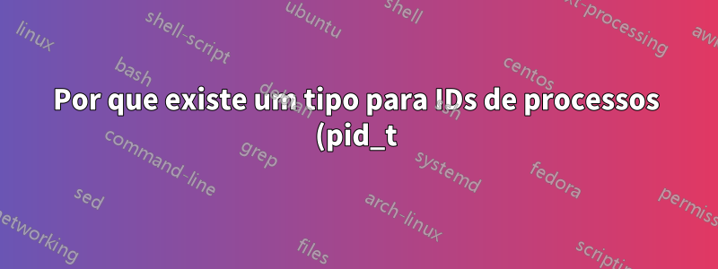 Por que existe um tipo para IDs de processos (pid_t), mas não para descritores de arquivos (fd)?