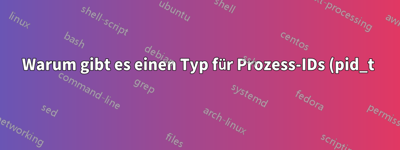 Warum gibt es einen Typ für Prozess-IDs (pid_t), aber nicht für Datei-Deskriptoren (fd)?