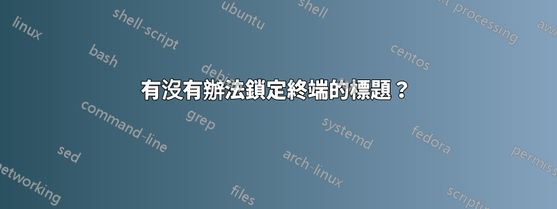 有沒有辦法鎖定終端的標題？