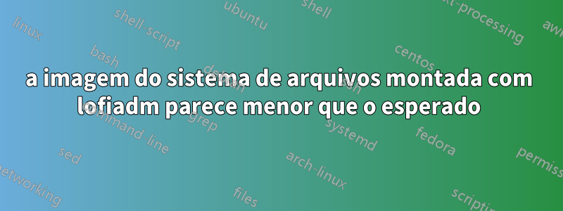 a imagem do sistema de arquivos montada com lofiadm parece menor que o esperado