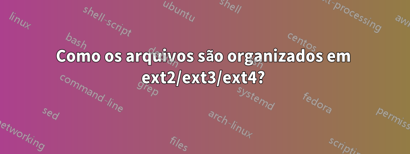 Como os arquivos são organizados em ext2/ext3/ext4?