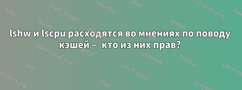 lshw и lscpu расходятся во мнениях по поводу кэшей — кто из них прав?