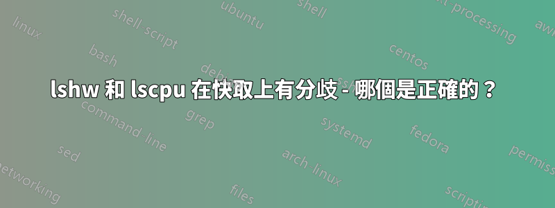 lshw 和 lscpu 在快取上有分歧 - 哪個是正確的？