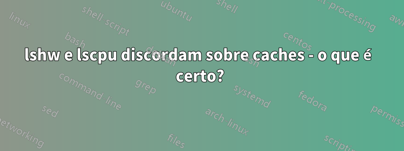 lshw e lscpu discordam sobre caches - o que é certo?