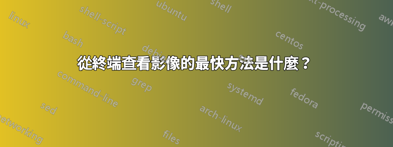 從終端查看影像的最快方法是什麼？