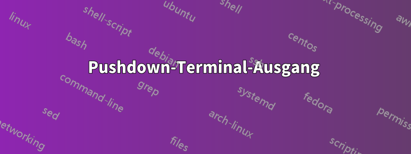 Pushdown-Terminal-Ausgang