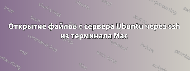 Открытие файлов с сервера Ubuntu через ssh из терминала Mac