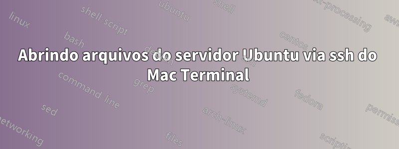 Abrindo arquivos do servidor Ubuntu via ssh do Mac Terminal