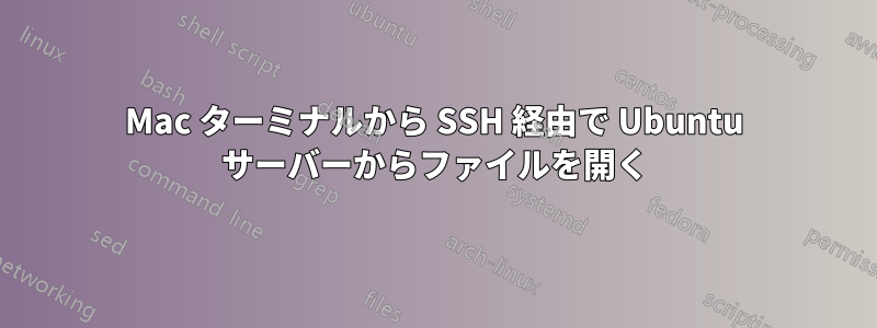 Mac ターミナルから SSH 経由で Ubuntu サーバーからファイルを開く