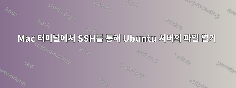 Mac 터미널에서 SSH를 통해 Ubuntu 서버의 파일 열기