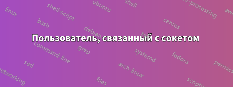 Пользователь, связанный с сокетом