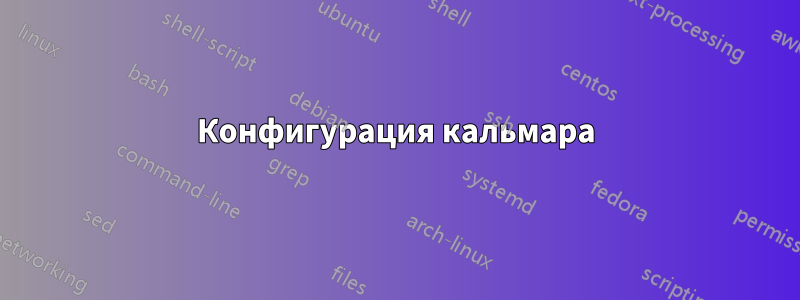 Конфигурация кальмара