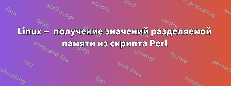 Linux — получение значений разделяемой памяти из скрипта Perl