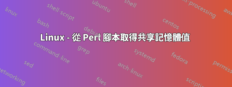 Linux - 從 Perl 腳本取得共享記憶體值