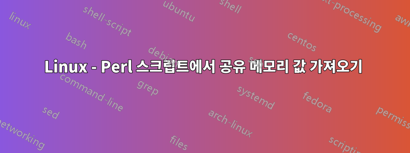 Linux - Perl 스크립트에서 공유 메모리 값 가져오기