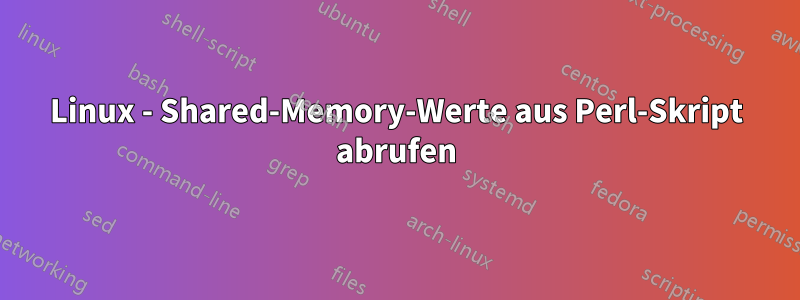 Linux - Shared-Memory-Werte aus Perl-Skript abrufen