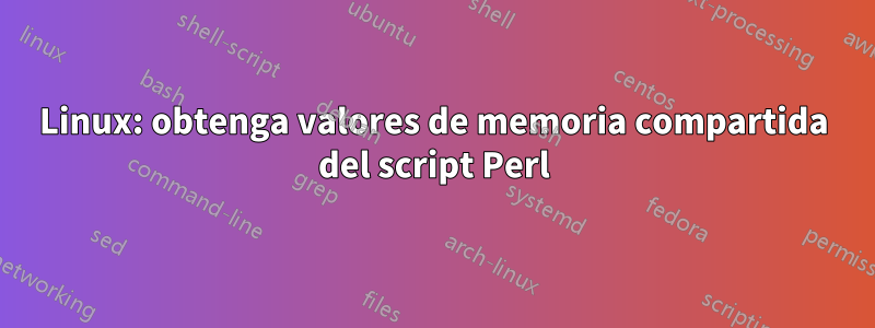 Linux: obtenga valores de memoria compartida del script Perl