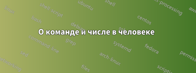 О команде и числе в человеке 